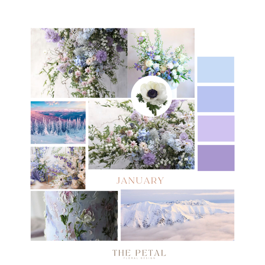 January Color Palette