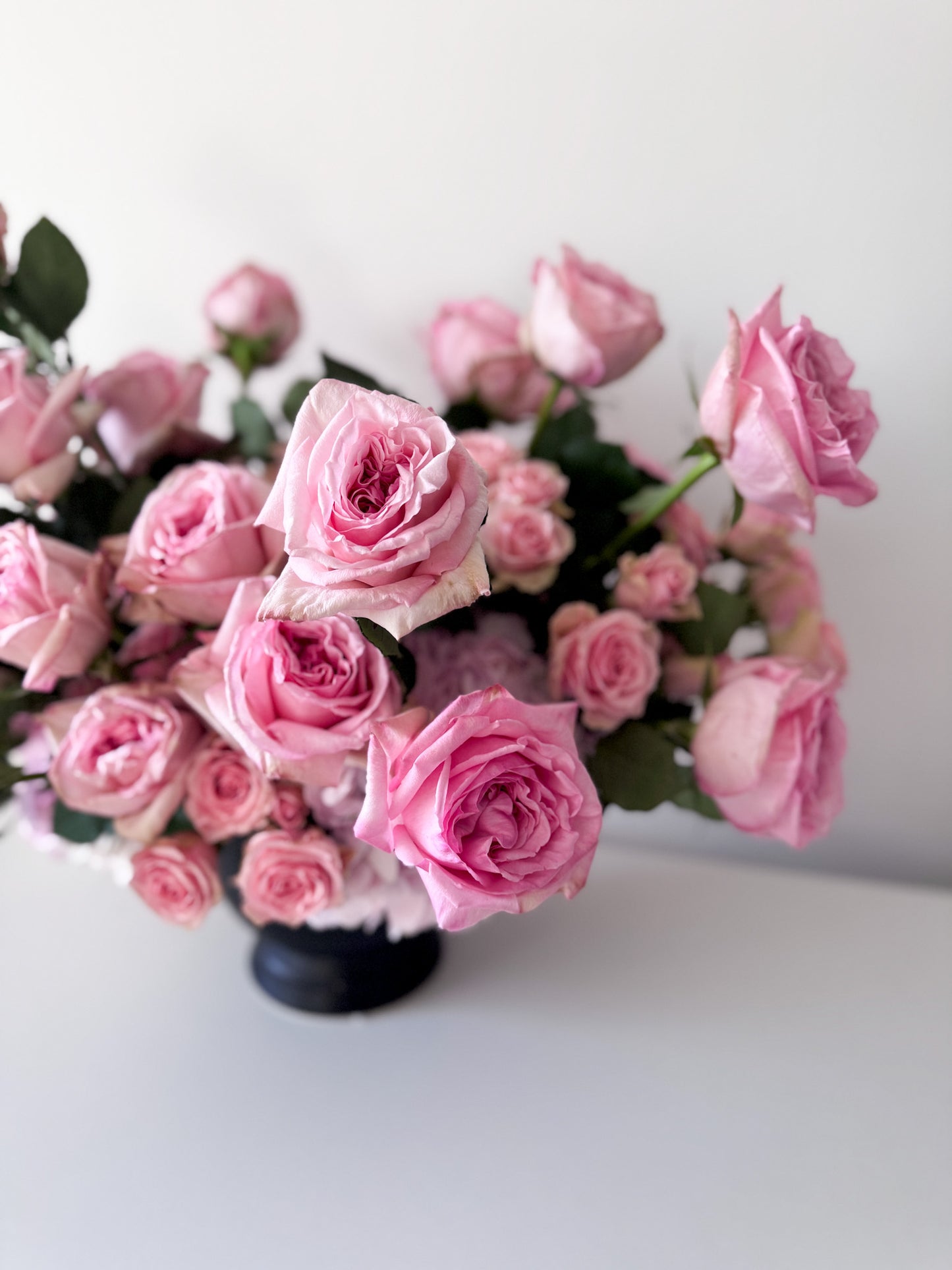Valentine's Day Premium Roses