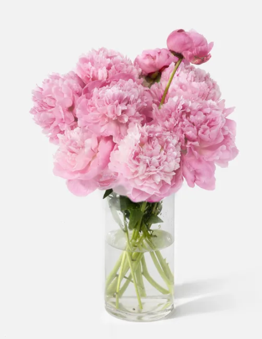 Mother's Day Peony Collection Pre-Order