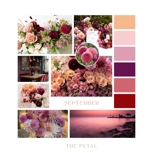 September Color Palette
