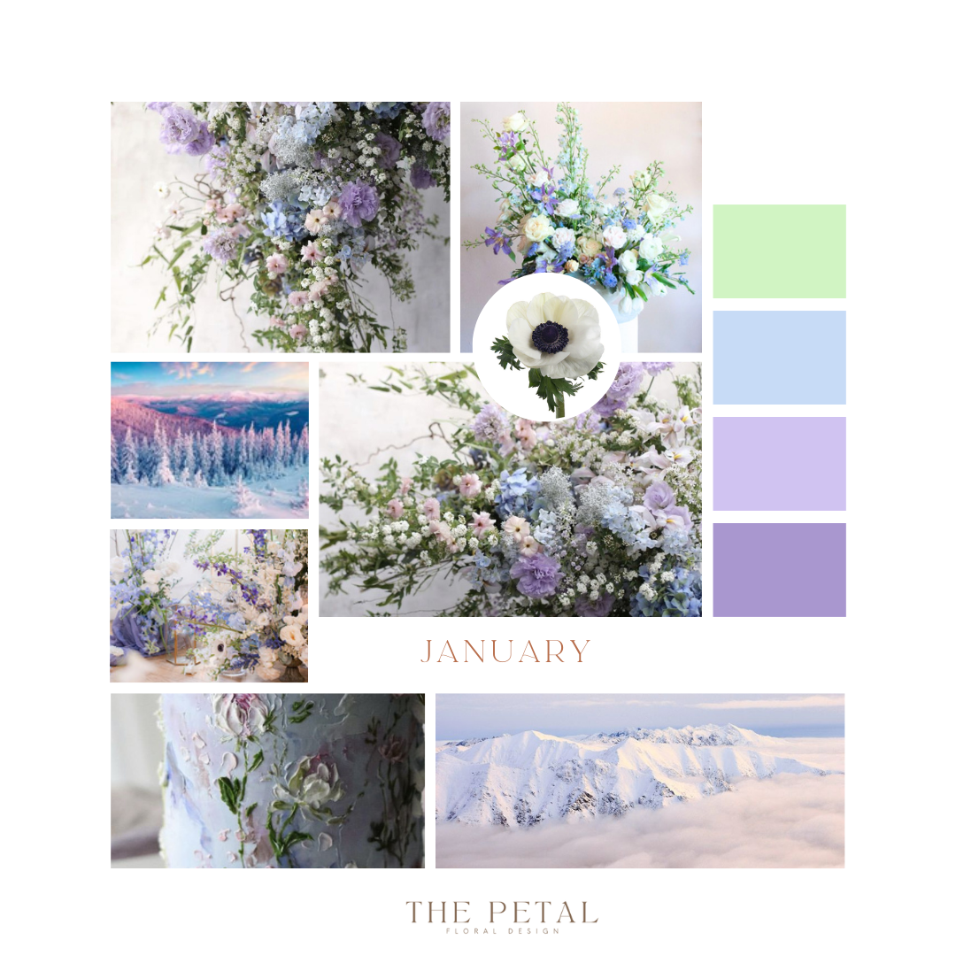 January Color Palette – The Petal