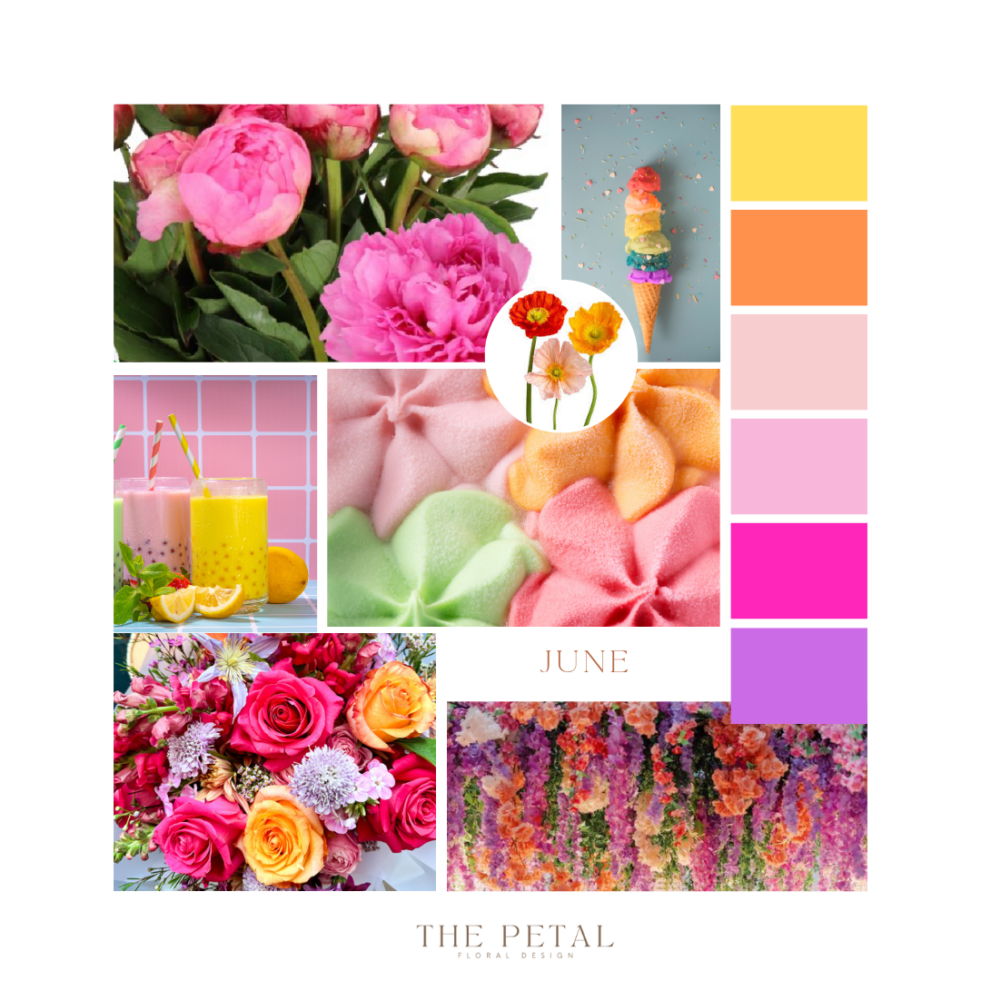 June Color Palette – The Petal