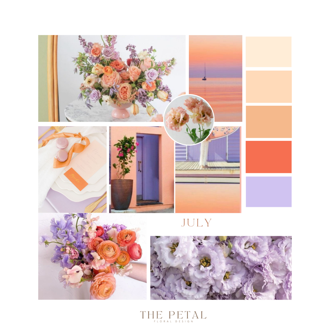 July S Color July Color Palette β The Petal