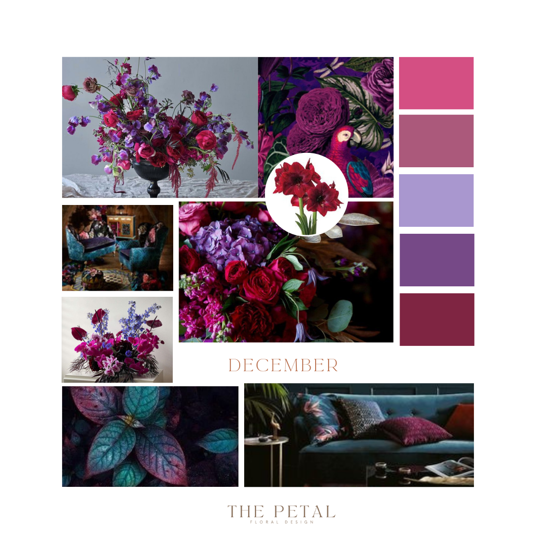 December In Color December Color Palette – The Petal