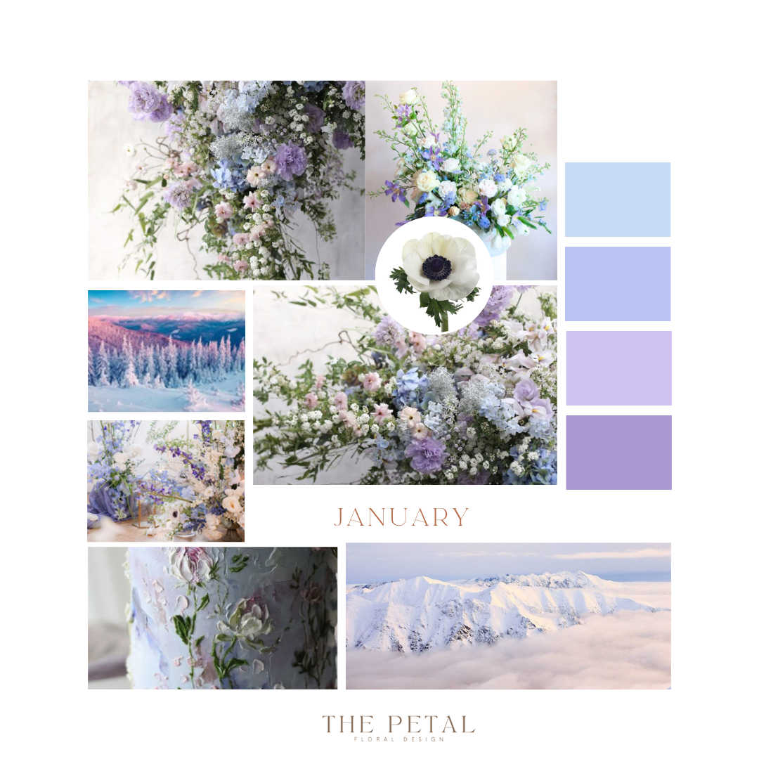 January Color Palette – The Petal