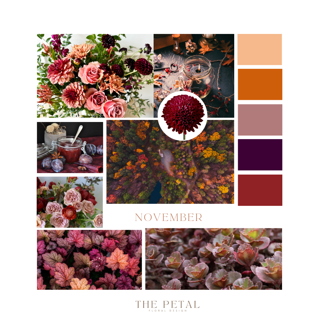 November Color:red November Color Palette – The Petal