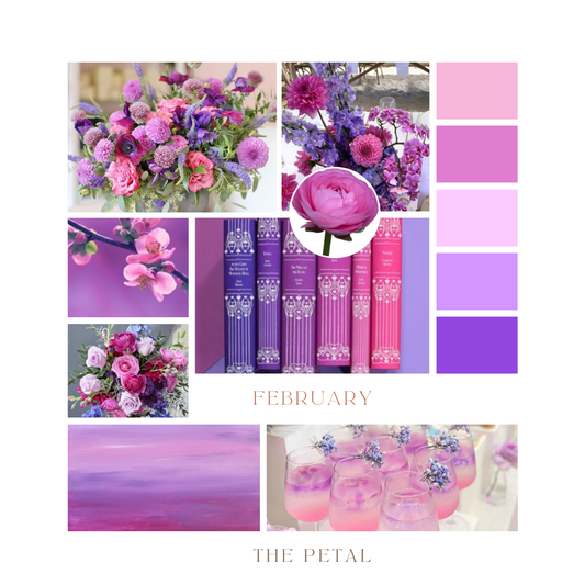 February Color Palette