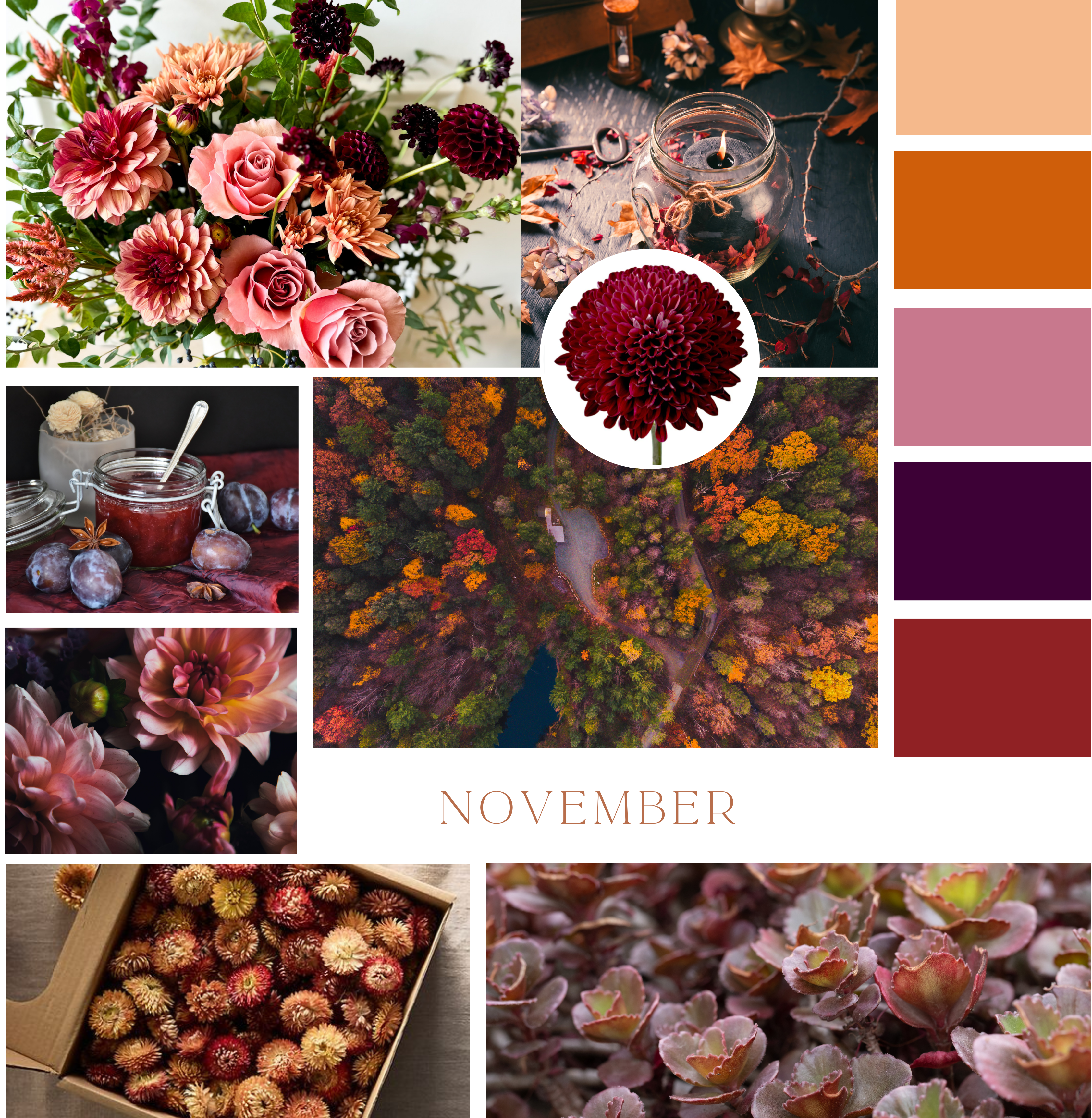November Color:red November Color Palette – The Petal