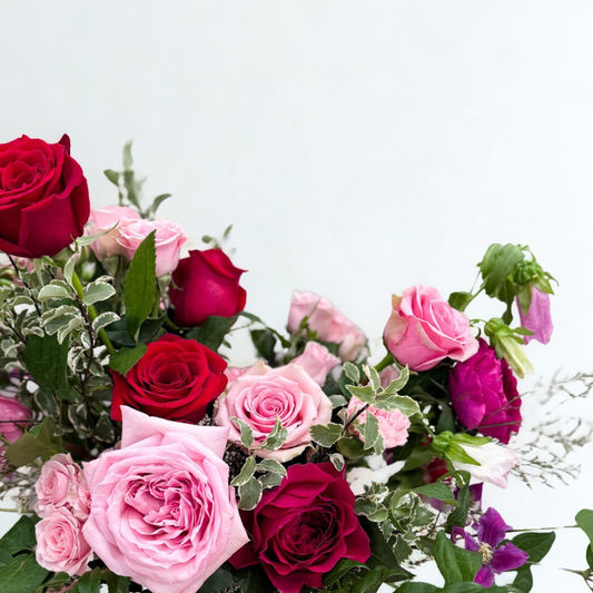 Valentine's Day Collection