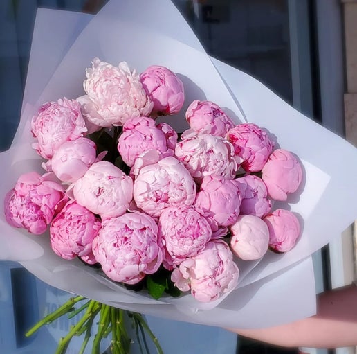 Peony Collection