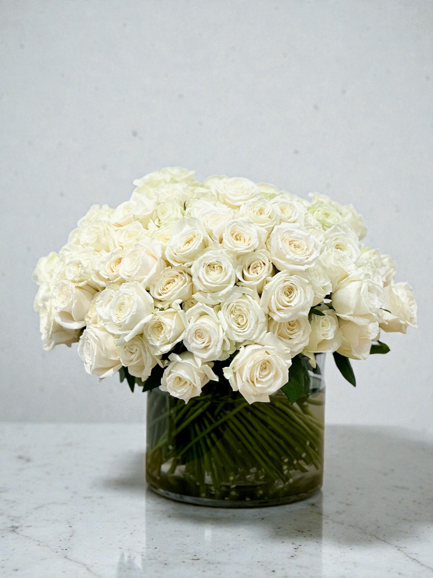 Valentine's Day Premium Roses