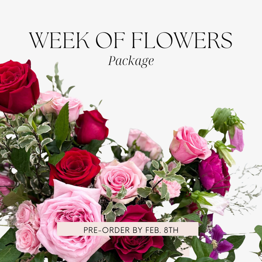 Week of Flowers Package