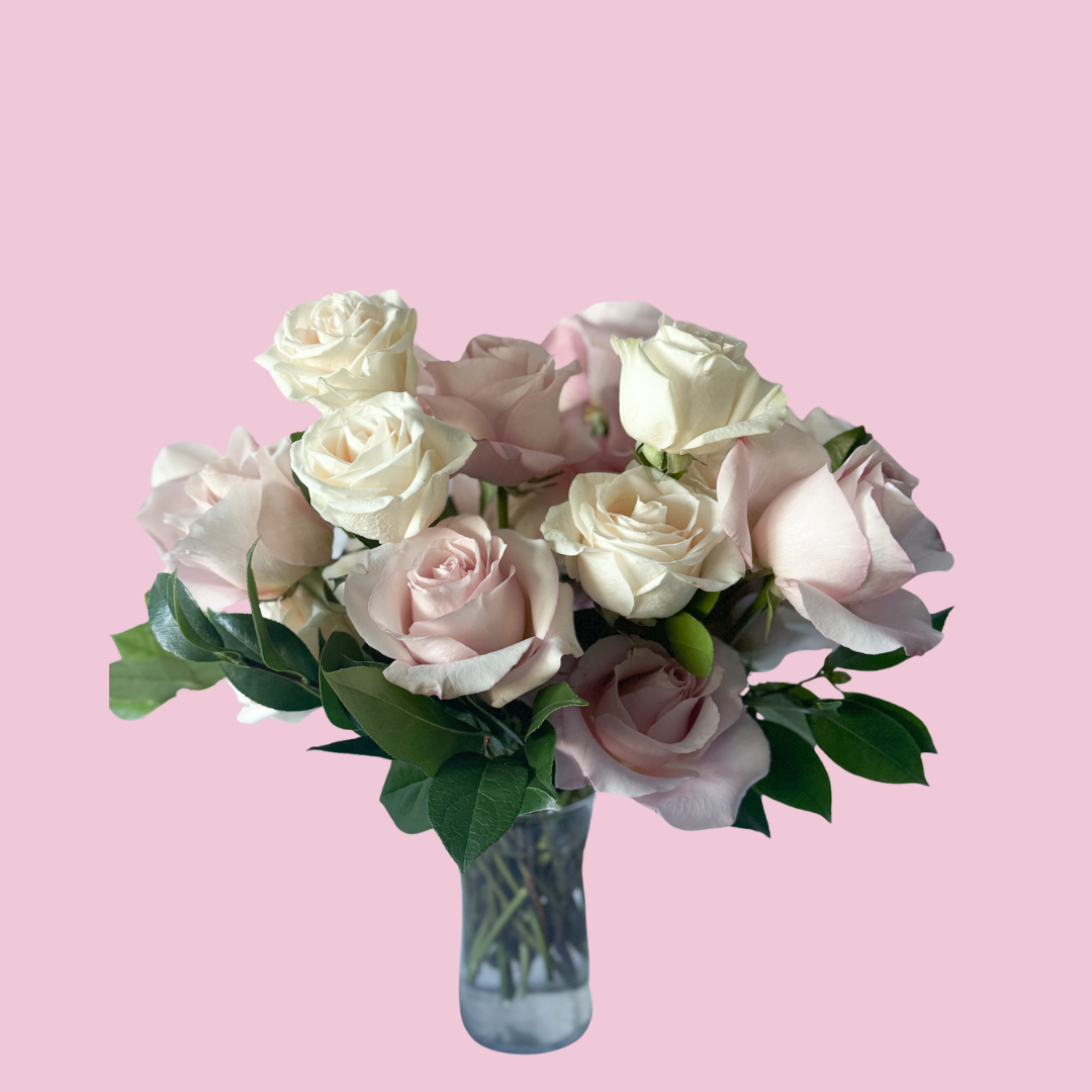 Valentine's Day Premium Roses