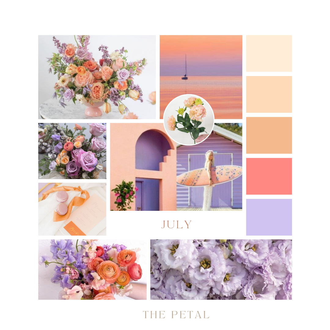 Color palette for monthly selection of daily flowers for delivery from The Petal