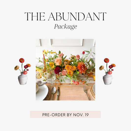 The Abundant Package