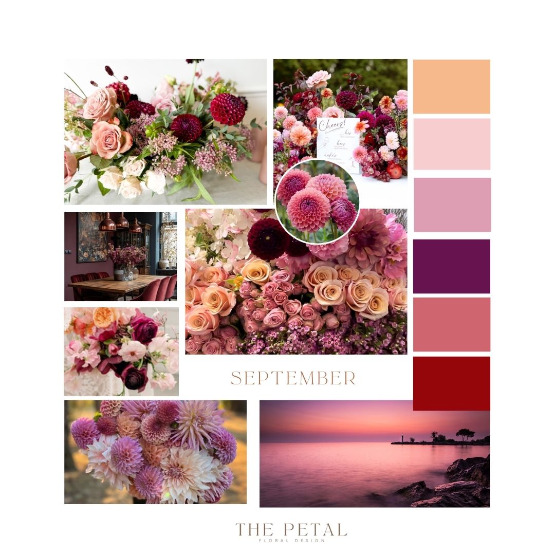 Products – The Petal