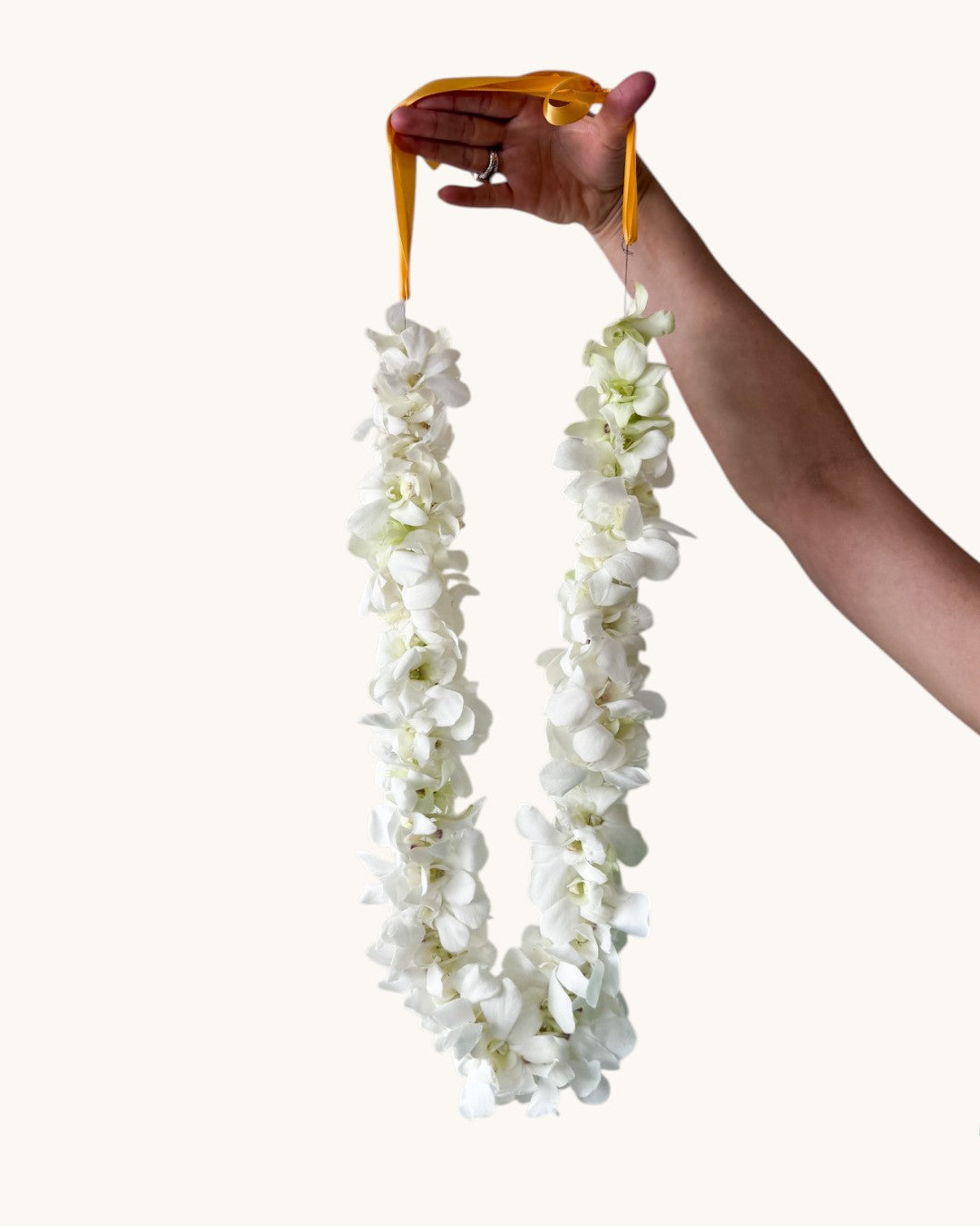 Graduation Floral Lei
