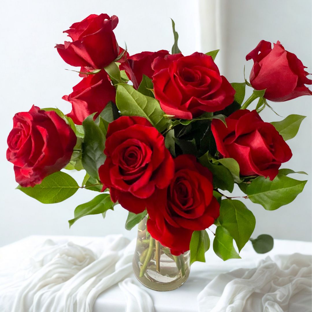 Elegant vase arrangement featuring one dozen deep red premium roses, lush and timeless floral design, perfect romantic gift, with pick-up in Edina or local Minneapolis delivery available, same day delivery up until 1PM daily