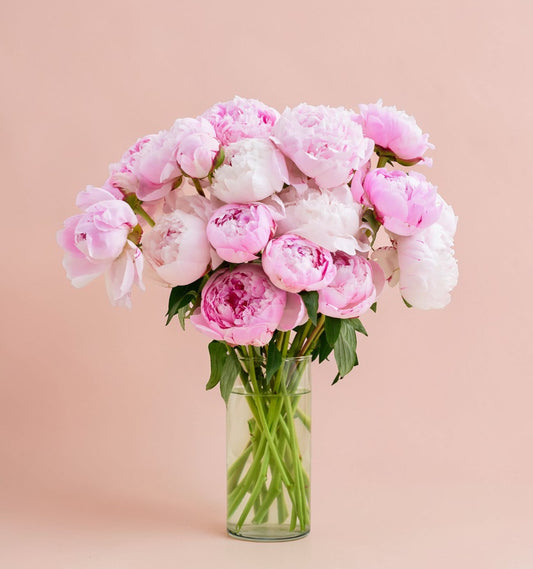 Mother's Day Peony Arrangement