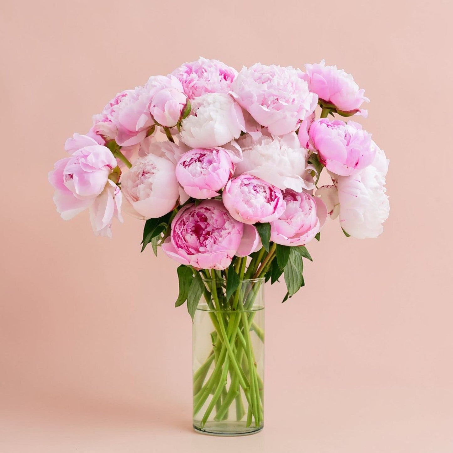 Arrangement of pink peonies for mother's day designed in a glass vase for local delivery Edina, Minneapolis, Plymouth, Wayzata
