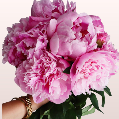 bouquet of pink peonies wrapped in pink premium paper. spring mother's day gift ideas for delivery