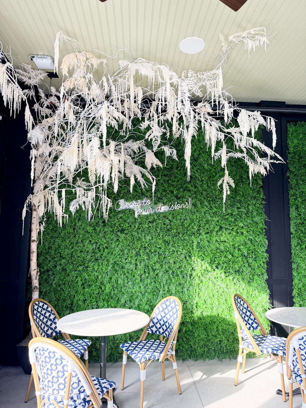 A custom designed winter tree installation for a local business in Minneapolis by The Petal made of birch, hanging amaranthus and ferns to create a gorgeous winter display for the holidays.