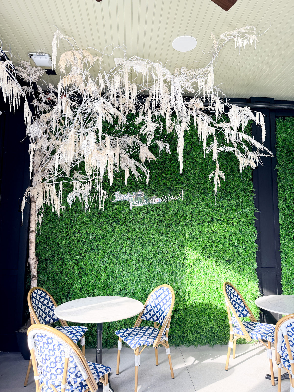 A custom designed winter tree installation for a local business in Minneapolis by The Petal made of birch, hanging amaranthus and ferns to create a gorgeous winter display for the holidays.